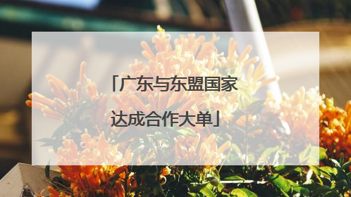 广东与东盟国家达成合作大单