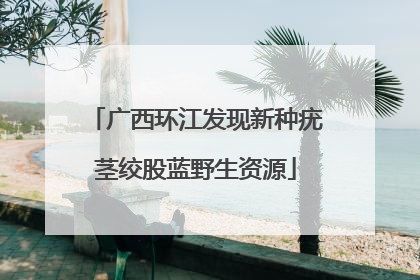 广西环江发现新种疣茎绞股蓝野生资源