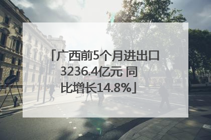 广西前5个月进出口3236.4亿元 同比增长14.8%