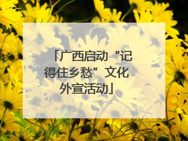 广西启动“记得住乡愁”文化外宣活动