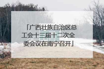 广西壮族自治区总工会十三届十二次全委会议在南宁召开