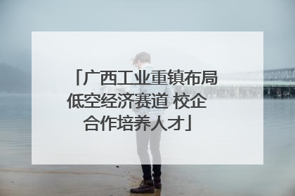 广西工业重镇布局低空经济赛道 校企合作培养人才