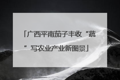 广西平南茄子丰收“蔬”写农业产业新图景