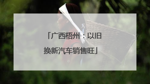 广西梧州：以旧换新汽车销售旺