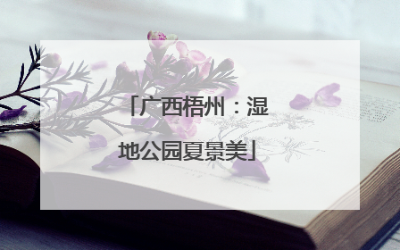 广西梧州：湿地公园夏景美