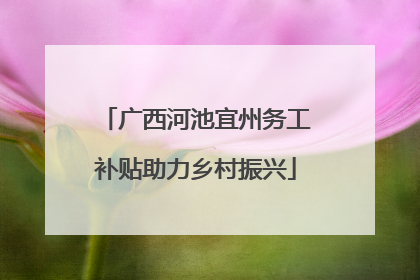 广西河池宜州务工补贴助力乡村振兴