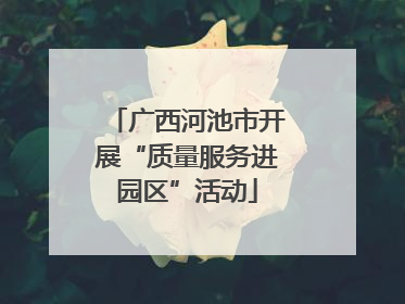 广西河池市开展“质量服务进园区”活动