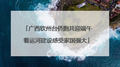 广西钦州台侨胞共迎端午 看运河建设感受家国强大