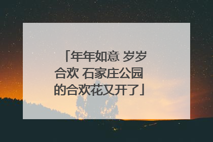 年年如意 岁岁合欢 石家庄公园的合欢花又开了