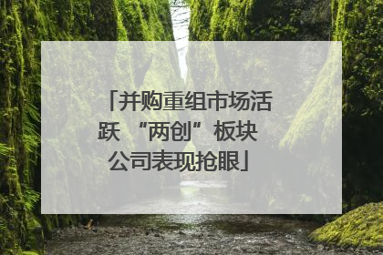 并购重组市场活跃 “两创”板块公司表现抢眼