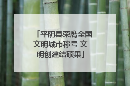 平阴县荣膺全国文明城市称号 文明创建结硕果