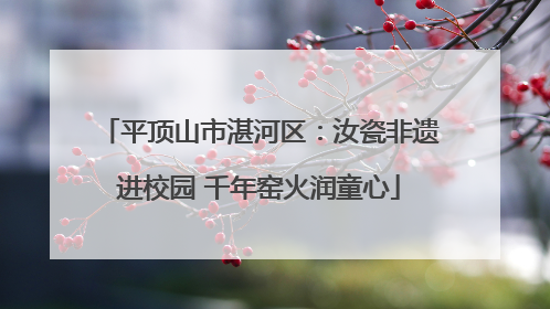 平顶山市湛河区：汝瓷非遗进校园 千年窑火润童心