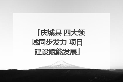 庆城县 四大领域同步发力 项目建设赋能发展