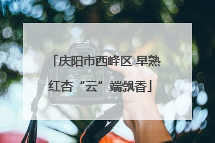 庆阳市西峰区 早熟红杏“云”端飘香