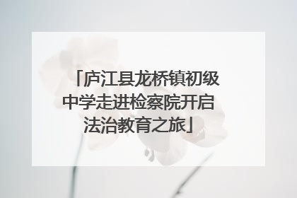 庐江县龙桥镇初级中学走进检察院开启法治教育之旅