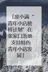 度小满“青年小店榜样计划”在张家口落地 支持特色青年小店发展