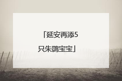 延安再添5只朱鹮宝宝
