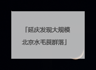 延庆发现大规模北京水毛茛群落