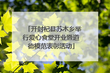 开封杞县苏木乡举行爱心食堂开业暨道德模范表彰活动