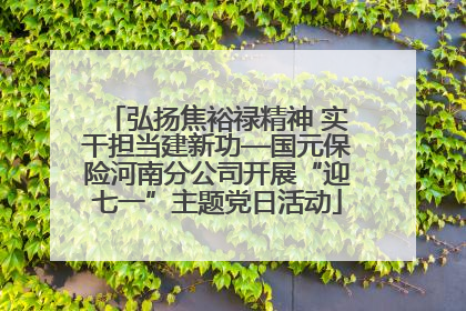 弘扬焦裕禄精神 实干担当建新功—国元保险河南分公司开展“迎七一”主题党日活动