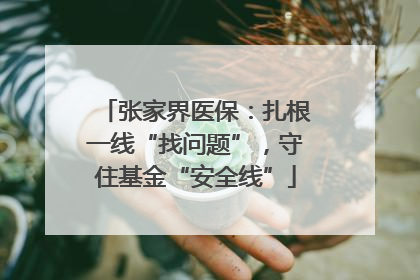 张家界医保：扎根一线“找问题”，守住基金“安全线”