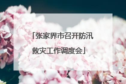 张家界市召开防汛救灾工作调度会