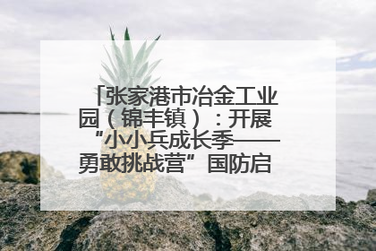 张家港市冶金工业园（锦丰镇）：开展“小小兵成长季——勇敢挑战营”国防启蒙教育活动