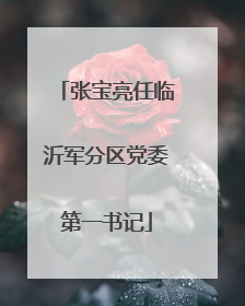 张宝亮任临沂军分区党委第一书记