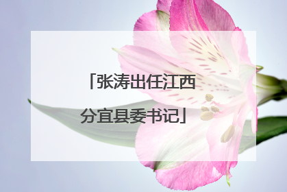 张涛出任江西分宜县委书记