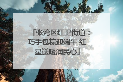 张湾区红卫街道：巧手包粽迎端午 红星送暖润民心