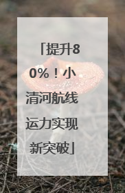 提升80％！小清河航线运力实现新突破
