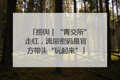 捞舆｜“青交所”走红，流量密码是官方带头“玩起来”