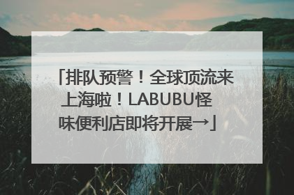 排队预警！全球顶流来上海啦！LABUBU怪味便利店即将开展→