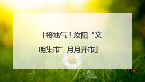 接地气！汝阳“文明集市”月月开市