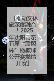 推动文体旅深度融合！2025年沈阳市第五届“联盟杯”橄榄球公开赛燃情开赛