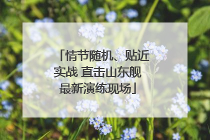 情节随机、贴近实战 直击山东舰最新演练现场