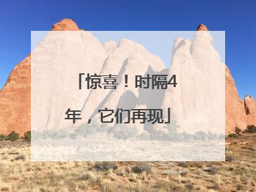 惊喜！时隔4年，它们再现