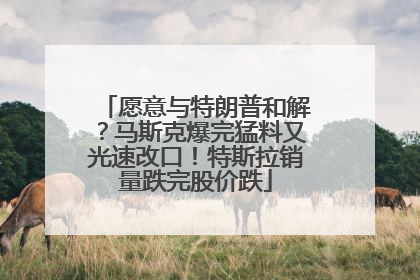 愿意与特朗普和解？马斯克爆完猛料又光速改口！特斯拉销量跌完股价跌