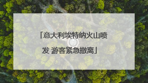 意大利埃特纳火山喷发 游客紧急撤离