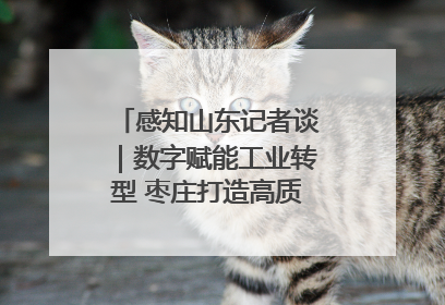 感知山东记者谈｜数字赋能工业转型 枣庄打造高质量发展新引擎