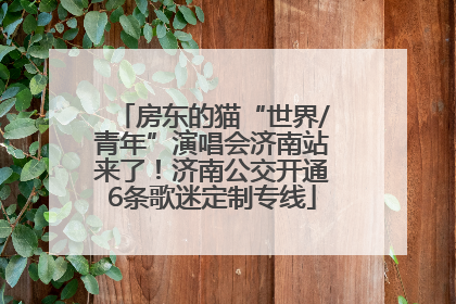 房东的猫“世界/青年”演唱会济南站来了！济南公交开通6条歌迷定制专线
