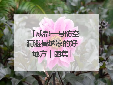 成都一号防空洞避暑纳凉的好地方｜图集