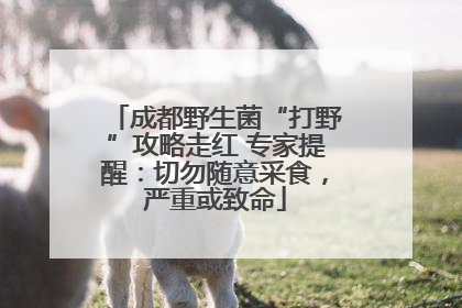 成都野生菌“打野”攻略走红 专家提醒：切勿随意采食，严重或致命