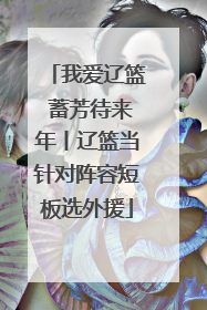 我爱辽篮 蓄芳待来年丨辽篮当针对阵容短板选外援