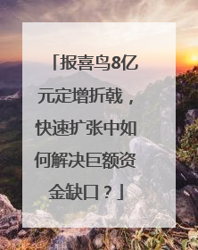报喜鸟8亿元定增折戟，快速扩张中如何解决巨额资金缺口？