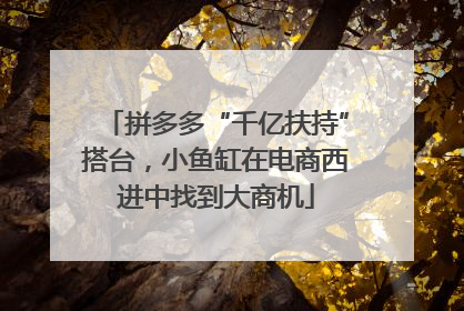 拼多多“千亿扶持”搭台，小鱼缸在电商西进中找到大商机