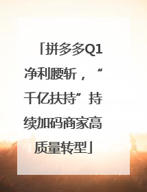 拼多多Q1净利腰斩，“千亿扶持”持续加码商家高质量转型