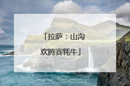 拉萨：山沟欢腾赛牦牛