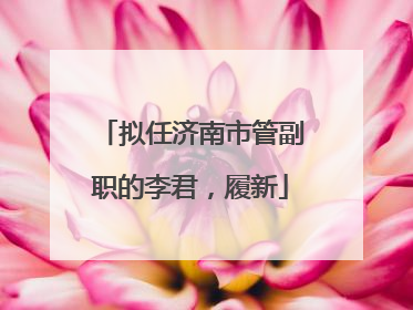 拟任济南市管副职的李君，履新