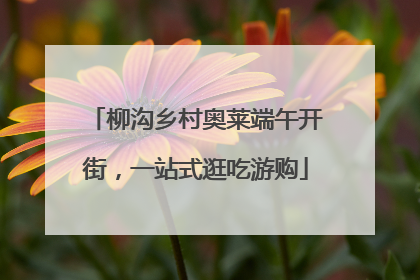 柳沟乡村奥莱端午开街，一站式逛吃游购